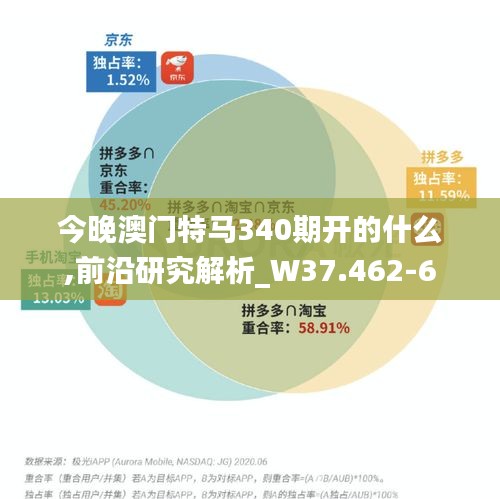今晚澳門特馬340期開的什么,前沿研究解析_W37.462-6