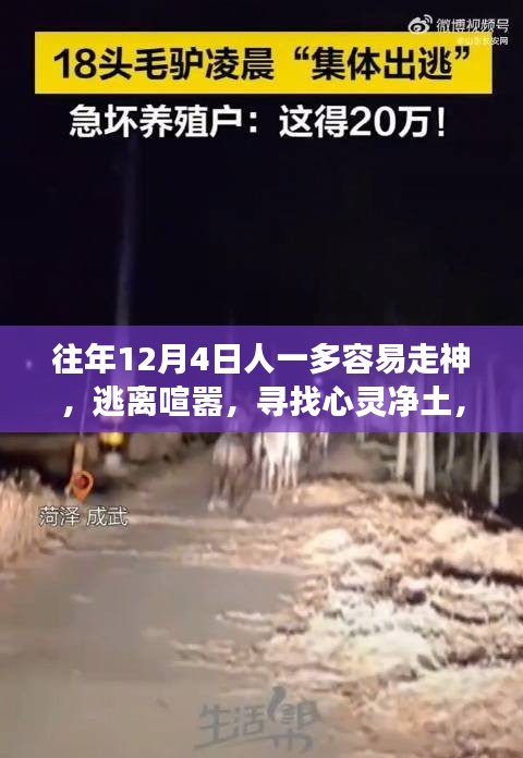 逃離喧囂，尋找心靈凈土，自然美景之旅，專注心靈的寧靜之旅