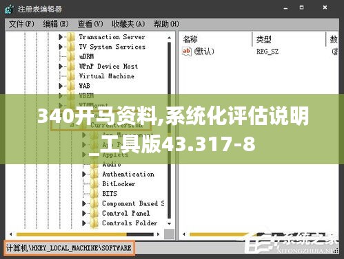 340開馬資料,系統(tǒng)化評估說明_工具版43.317-8