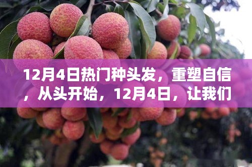 重塑自信，從頭開始，12月4日種發(fā)行動(dòng)，種下希望的頭發(fā)種子