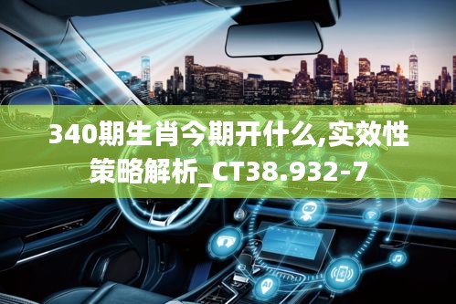 340期生肖今期開什么,實效性策略解析_CT38.932-7