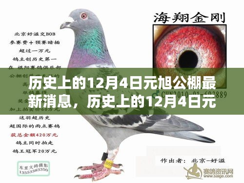 歷史上的12月4日元旭公棚最新動(dòng)態(tài)及其深遠(yuǎn)影響的深度分析與觀點(diǎn)闡述