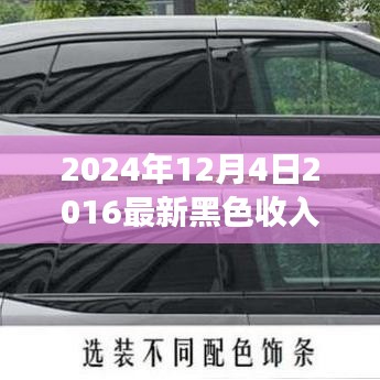 零基礎(chǔ)也能上手！2024年最新黑色收入項(xiàng)目實(shí)戰(zhàn)指南與解析