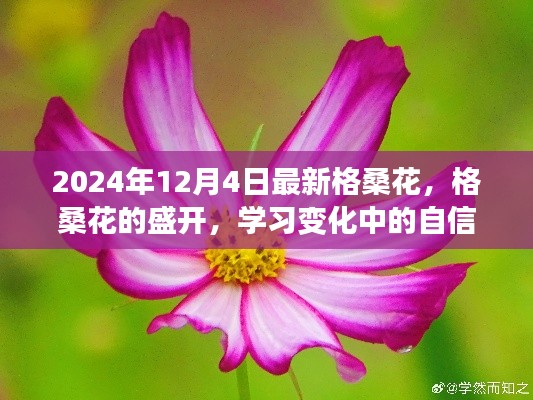 格?；ǖ氖㈤_之旅，自信與成就的蛻變之路（2024年12月4日最新資訊）