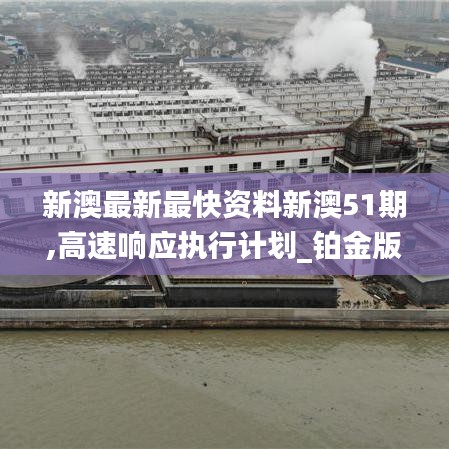 新澳最新最快資料新澳51期,高速響應(yīng)執(zhí)行計(jì)劃_鉑金版2.816