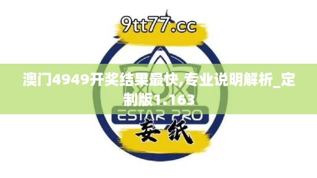 澳門4949開獎結(jié)果最快,專業(yè)說明解析_定制版1.163