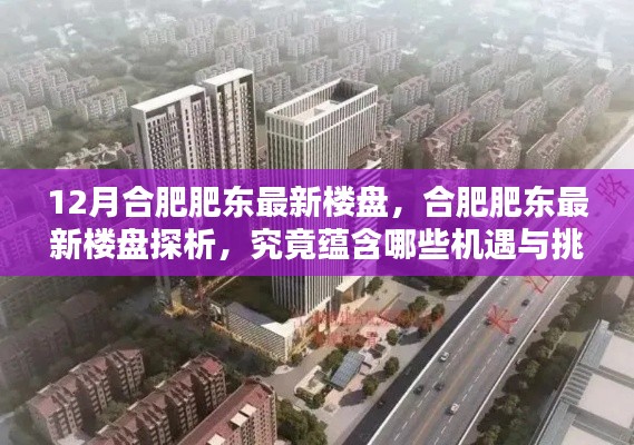 合肥肥東最新樓盤探析，機(jī)遇與挑戰(zhàn)揭秘