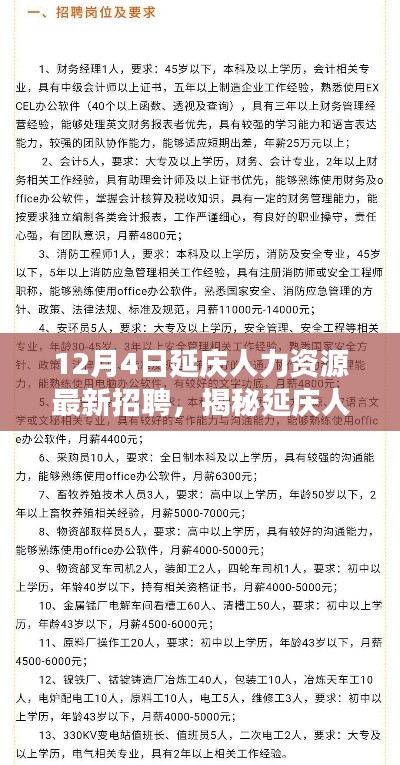 揭秘延慶人力資源最新招聘動(dòng)態(tài)，把握職場(chǎng)機(jī)遇，贏在起跑線——延慶最新招聘資訊速遞