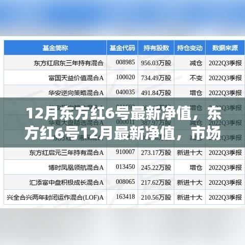 東方紅6號最新凈值發(fā)布，市場表現(xiàn)及前景展望