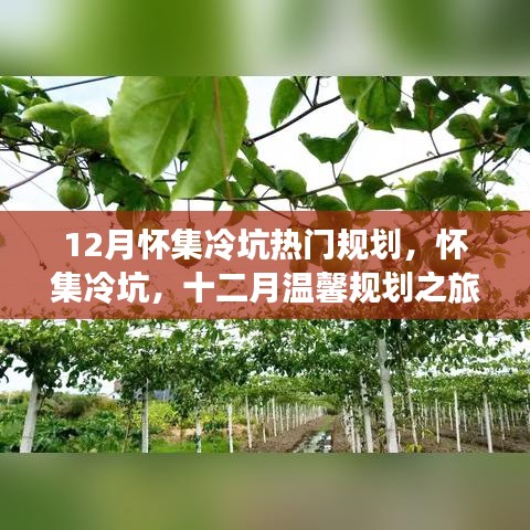 懷集冷坑十二月規(guī)劃之旅，暖心日常故事開啟溫馨之旅