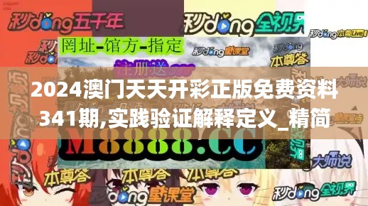2024澳門天天開彩正版免費資料341期,實踐驗證解釋定義_精簡版9.241