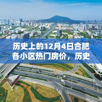 歷史上的12月4日合肥各小區(qū)熱門房?jī)r(jià)深度解析與觀點(diǎn)闡述