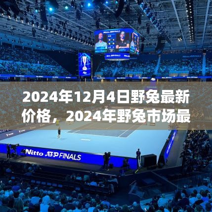 2024年野兔市場最新價格探析，觀點(diǎn)闡述與市場洞察