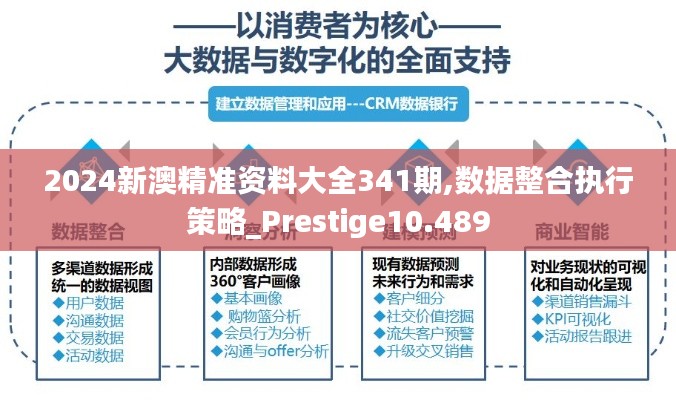 2024新澳精準(zhǔn)資料大全341期,數(shù)據(jù)整合執(zhí)行策略_Prestige10.489