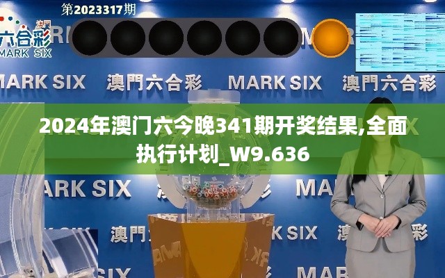 2024年澳門六今晚341期開獎結(jié)果,全面執(zhí)行計劃_W9.636