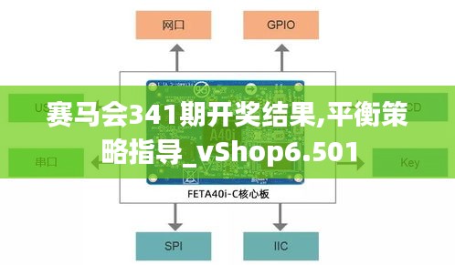 賽馬會341期開獎結(jié)果,平衡策略指導(dǎo)_vShop6.501