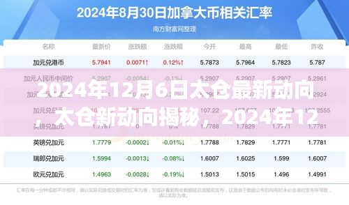 2024年12月6日太倉最新動向，太倉新動向揭秘，2024年12月6日的深度洞察