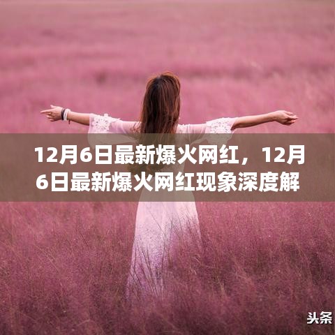 深度解析，揭秘網(wǎng)紅現(xiàn)象背后的正反雙方觀點與個人立場 —— 以最新爆火網(wǎng)紅為例