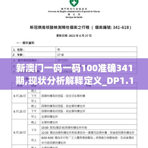 新澳門一碼一碼100準確341期,現(xiàn)狀分析解釋定義_DP1.133