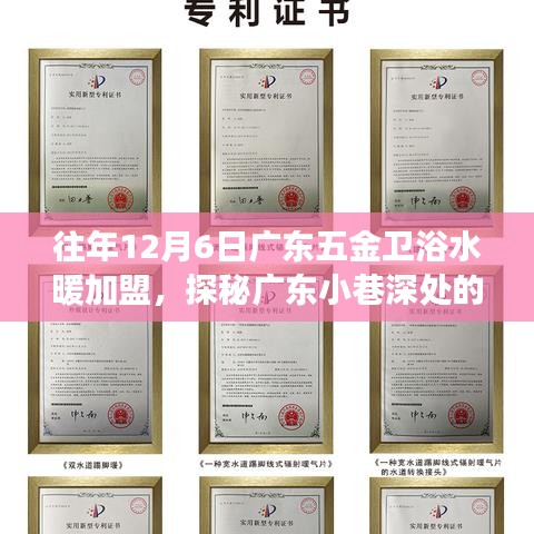 探秘廣東五金衛(wèi)浴水暖加盟傳奇，隱藏版特色小店的非凡故事