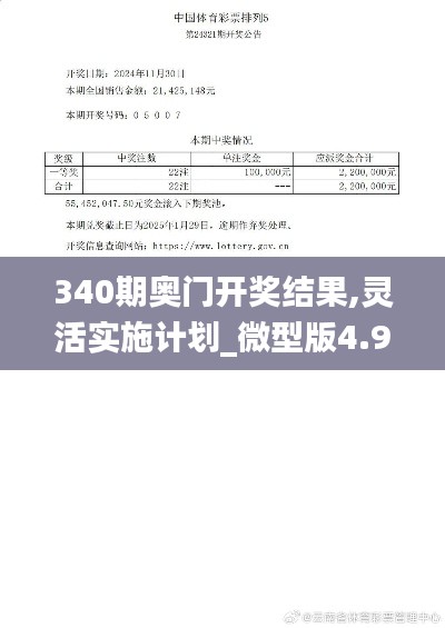 340期奧門開獎(jiǎng)結(jié)果,靈活實(shí)施計(jì)劃_微型版4.982