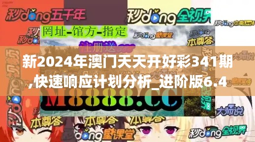 新2024年澳門天天開好彩341期,快速響應(yīng)計劃分析_進(jìn)階版6.474