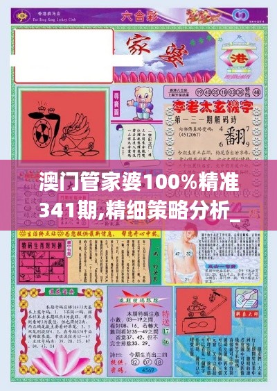 澳門管家婆100%精準(zhǔn)341期,精細(xì)策略分析_交互版1.544
