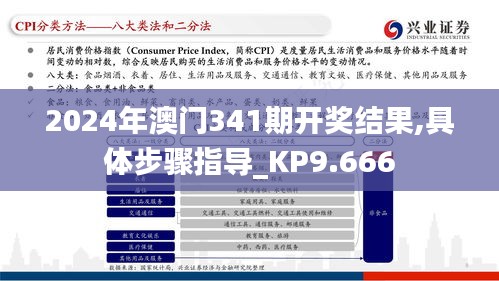 2024年澳門341期開獎結(jié)果,具體步驟指導(dǎo)_KP9.666