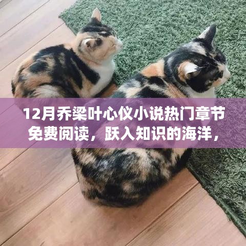喬梁葉心儀小說(shuō)熱門(mén)章節(jié)免費(fèi)閱讀，躍入知識(shí)的海洋，探尋勵(lì)志故事