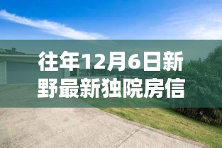 新野獨院房最新信息，溫馨家園的十二月奇遇記