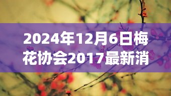 探尋未來之路，梅花協(xié)會(huì)最新動(dòng)態(tài)與行業(yè)夢(mèng)想展望（2024年）