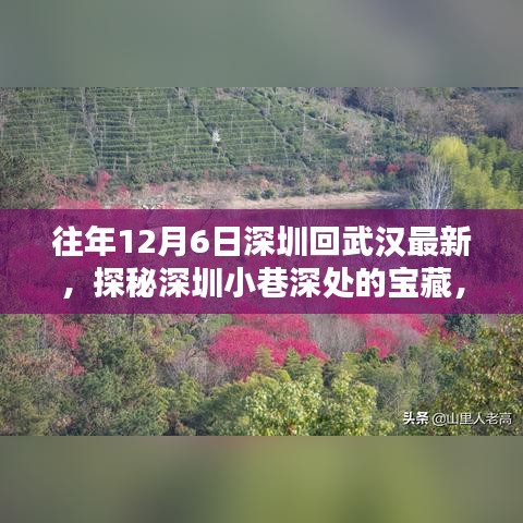 探秘深圳小巷深處的寶藏，武漢特色小店的隱藏之旅（歷年12月6日深圳至武漢最新）