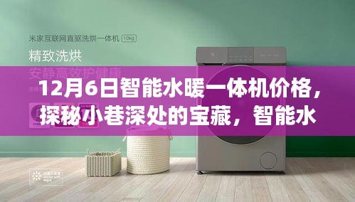 探秘小巷深處的寶藏，智能水暖一體機(jī)的驚喜價(jià)格之旅！