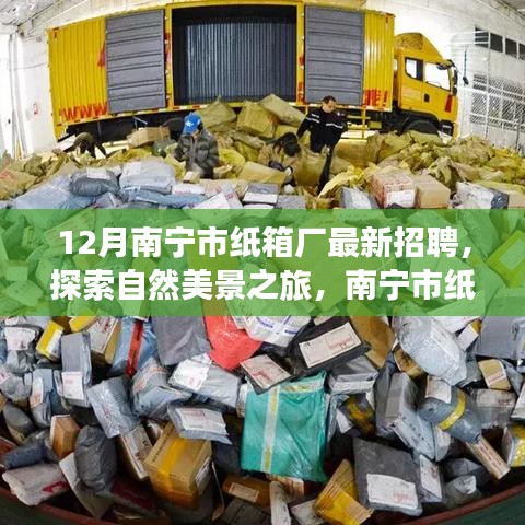 南寧市紙箱廠12月最新招聘啟事，探索自然美景之旅，尋找內(nèi)心的寧?kù)o與平和之旅