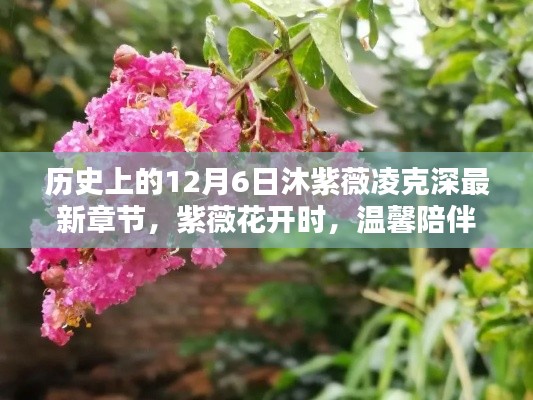 紫薇花開時的溫馨陪伴，沐紫薇凌克深最新章節(jié)——歷史上的12月6日