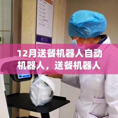 送餐機(jī)器人的暖心日常，機(jī)器與情感的奇妙交織十二月回顧