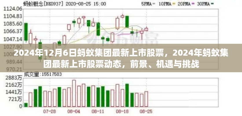 2024年螞蟻集團(tuán)上市股票動態(tài)，前景、機(jī)遇與挑戰(zhàn)一覽