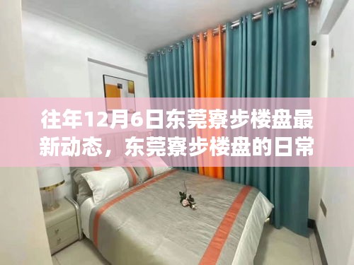 東莞寮步樓盤最新動(dòng)態(tài)與日常故事，探盤之旅的溫馨與友情深度鏈接