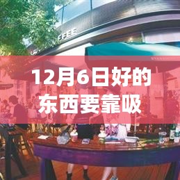 飛揚(yáng)撥扈 第3頁(yè)