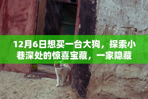 大狗探秘，小巷深處的隱藏式特色小店相遇記