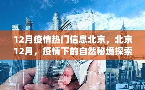 北京12月疫情下的自然探索之旅，秘境中的內(nèi)心寧靜與力量尋找記