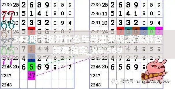 342期今晚開什么生肖出來呢,效率解答解釋落實(shí)_X6.569