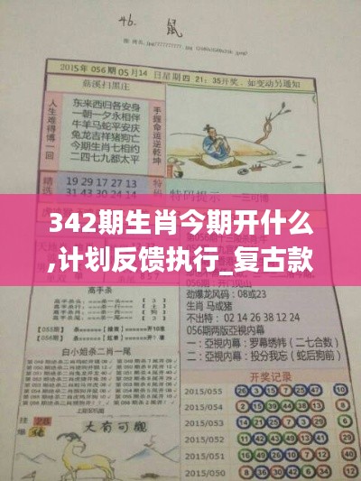 342期生肖今期開什么,計劃反饋執(zhí)行_復(fù)古款6.726
