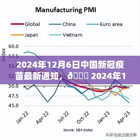 2024年12月6日中國新冠疫苗最新通知與詳細(xì)解讀