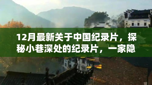 探秘小巷深處的隱藏版特色小店，中國(guó)紀(jì)錄片最新力作