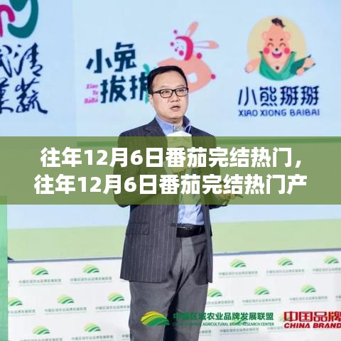 往年12月6日番茄完結(jié)熱門產(chǎn)品深度解析，特性、體驗、競品對比及用戶群體全方位分析評測
