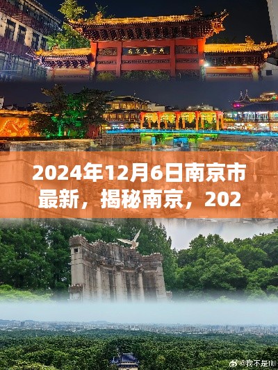 揭秘南京，最新動態(tài)與風情畫卷（2024年12月6日）