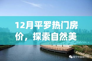 揭秘平羅熱門房?jī)r(jià)與探索自然美景之旅，寧?kù)o港灣的探尋