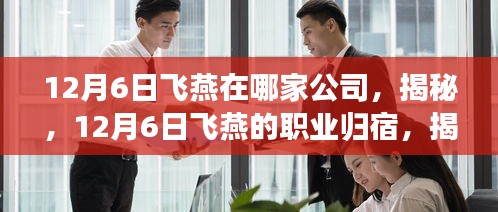 揭秘飛燕的職業(yè)歸宿，揭秘飛燕所在公司的秘密（12月6日更新）