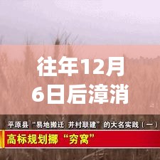 漳消村搬遷最新進(jìn)展概覽，觀點(diǎn)分析與個(gè)人立場(chǎng)視角下的搬遷進(jìn)展觀察